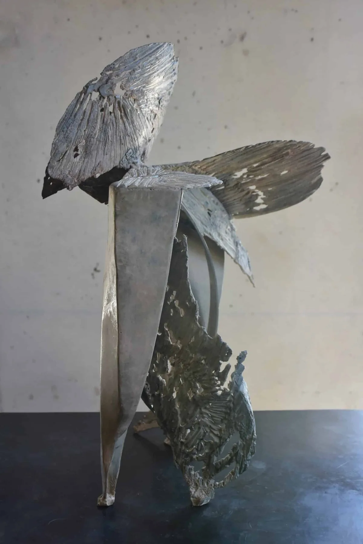 Sculpture Bronze et Acier patinés patiné blanc à chaud de Julien Allègre : Oiseau de lune, Vue 4