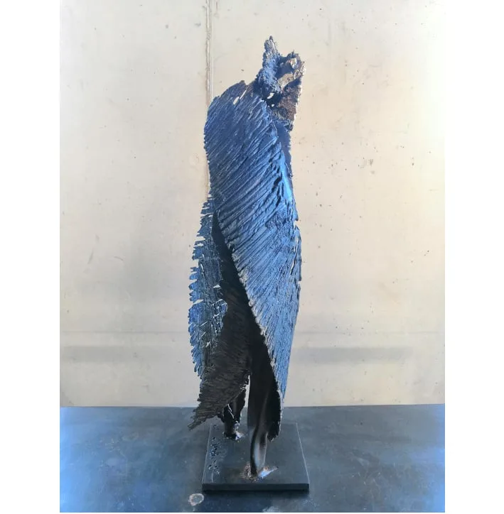 Sculpture bronze unique de Julien Allègre : Aile du silence, Vue 2